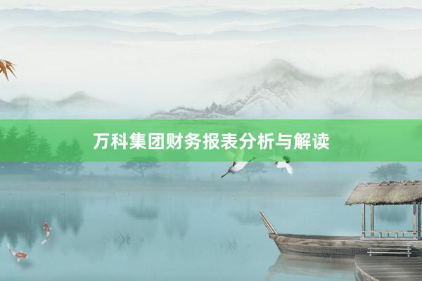 万科集团财务报表分析与解读